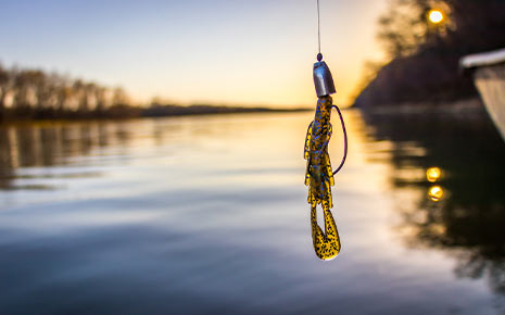fishing lure on lake